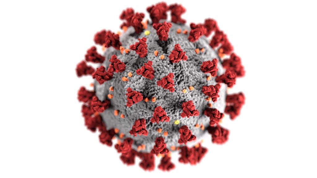gambar virus covid-19

Photo by CDC on Unsplash