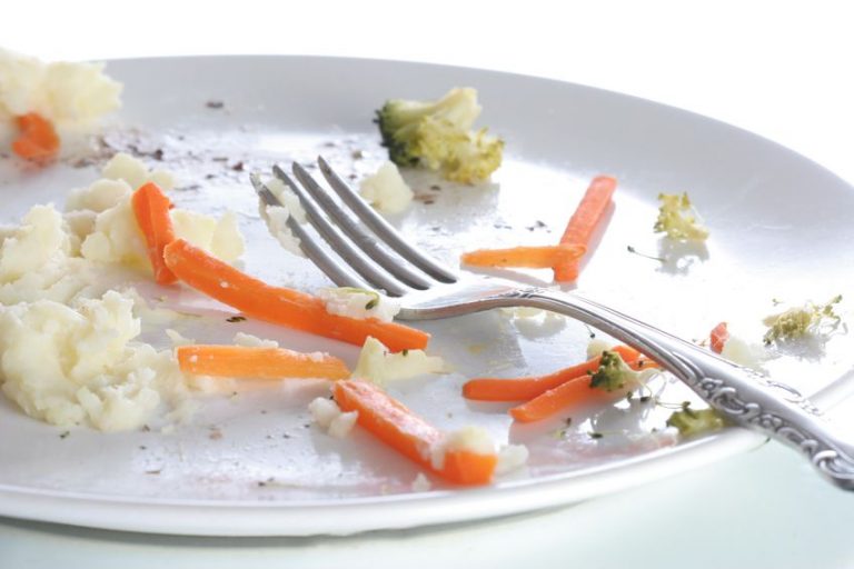 SISA MAKANAN (PLATE WASTE) Blog AhliGiziID