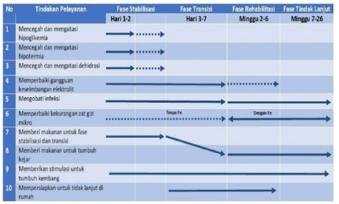 Buku Saku Pencegahan Dan Tata Laksana Gizi Buruk Pada Balita [Terbaru ...