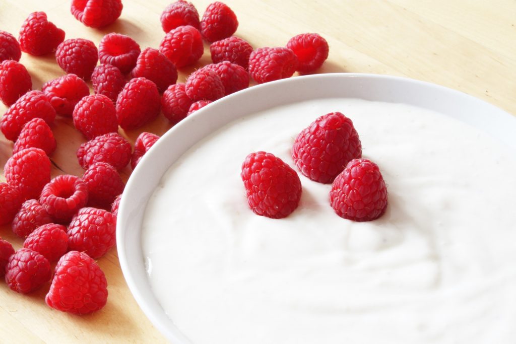 kandungan probiotik dalam yogurt