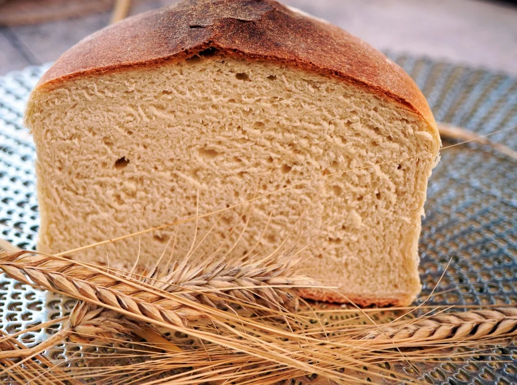 Roti gandum utuh sebagai pilihan whole grain sehat