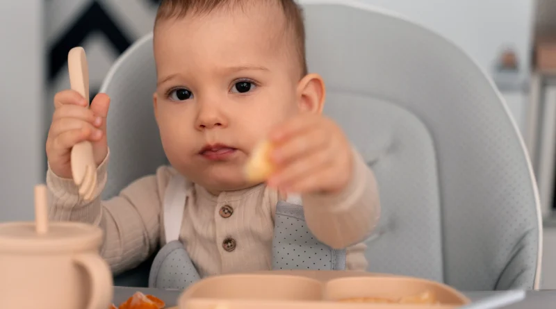 MPASI Bubur Bayi Instan