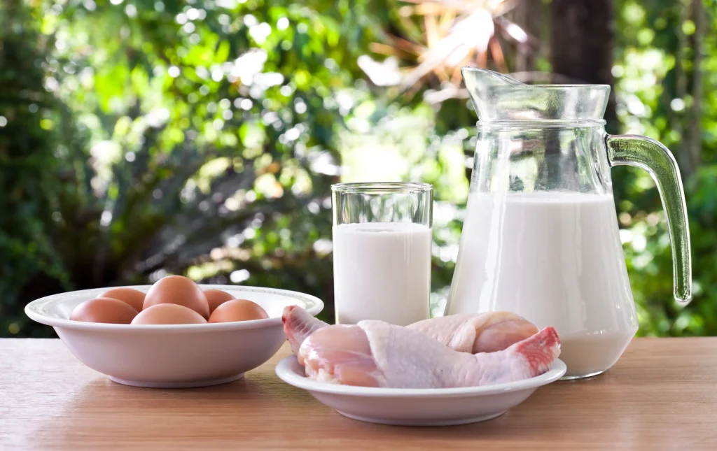 whey protein vs real food